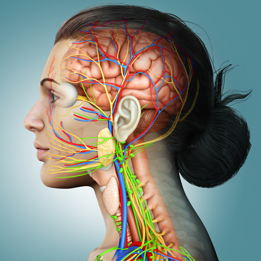 Connecting the Dots: A Holistic Blueprint for Healing Sjögren's Syndrome